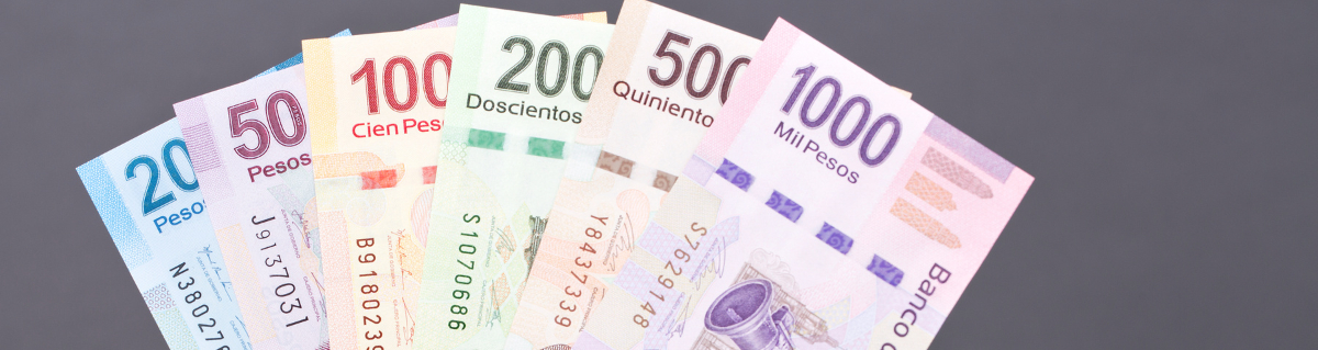 La solvencia económica no es un factor determinante para obtener la visa La solvencia económica no es un factor determinante para obtener la visa