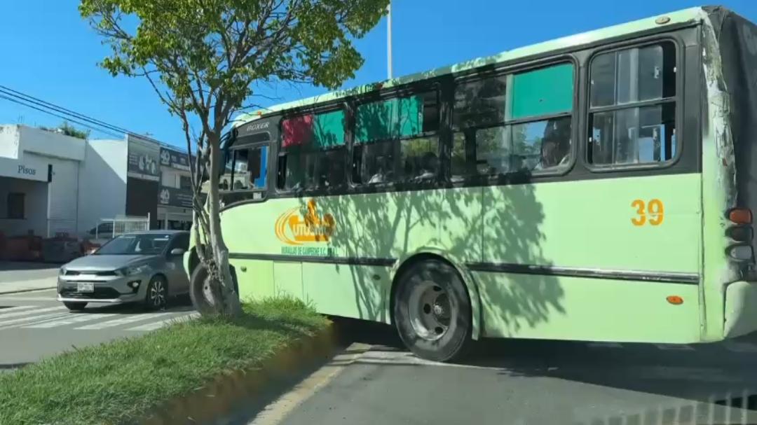 Camionero evita tráfico Camionero evita tráfico