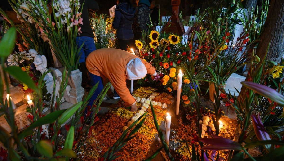 El nombre cempasúchil proviene del náhuatl Cempohualxochitl, que significa "flor de veinte pétalos" El nombre cempasúchil proviene del náhuatl Cempohualxochitl, que significa "flor de veinte pétalos"