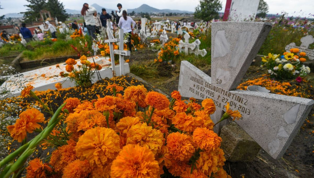 En el Día de Muertos, las flores de cempasúchil honran a los fieles difuntos En el Día de Muertos, las flores de cempasúchil honran a los fieles difuntos