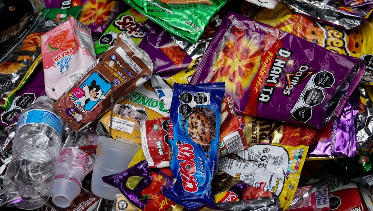 La eliminación gradual de los alimentos chatarra en la dieta de los niños es un paso importante hacia un mejor rendimiento escolar La eliminación gradual de los alimentos chatarra en la dieta de los niños es un paso importante hacia un mejor rendimiento escolar