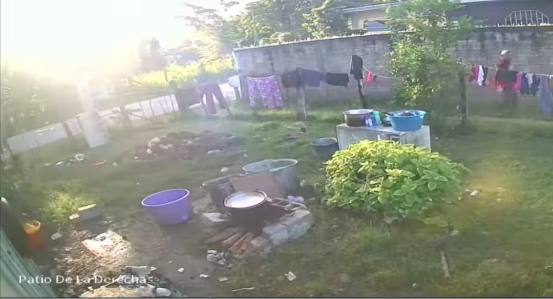 Los hechos ocurrieron a las 08:00, captados por una cámara instalada en el patio de su casa Los hechos ocurrieron a las 08:00, captados por una cámara instalada en el patio de su casa