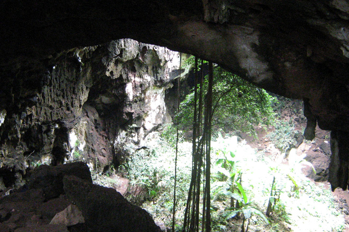 Las cuevas son ecosistemas importantes que brindan refugio al geco yucateco de bandas Las cuevas son ecosistemas importantes que brindan refugio al geco yucateco de bandas