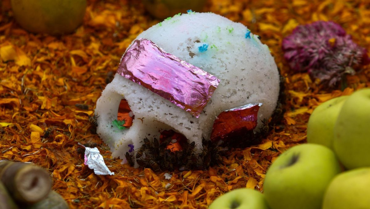 La celebración del Día de Muertos en México es una de las tradiciones más emblemáticas y respetadas La celebración del Día de Muertos en México es una de las tradiciones más emblemáticas y respetadas