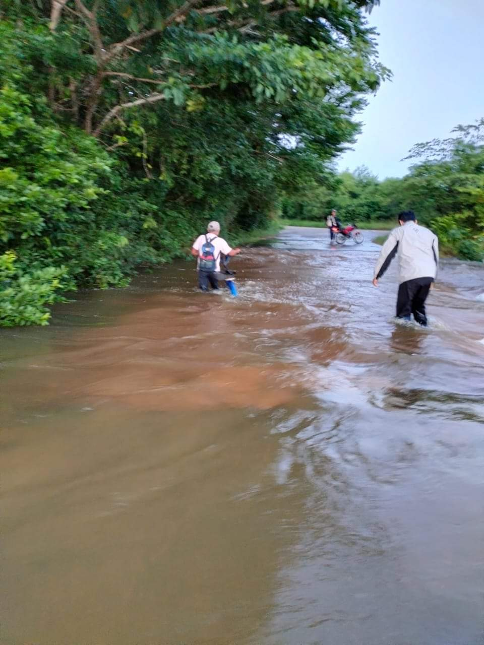 Quintana Roo: Inundación deja afectadas varias comunidades / Especial Quintana Roo: Inundación deja afectadas varias comunidades / Especial