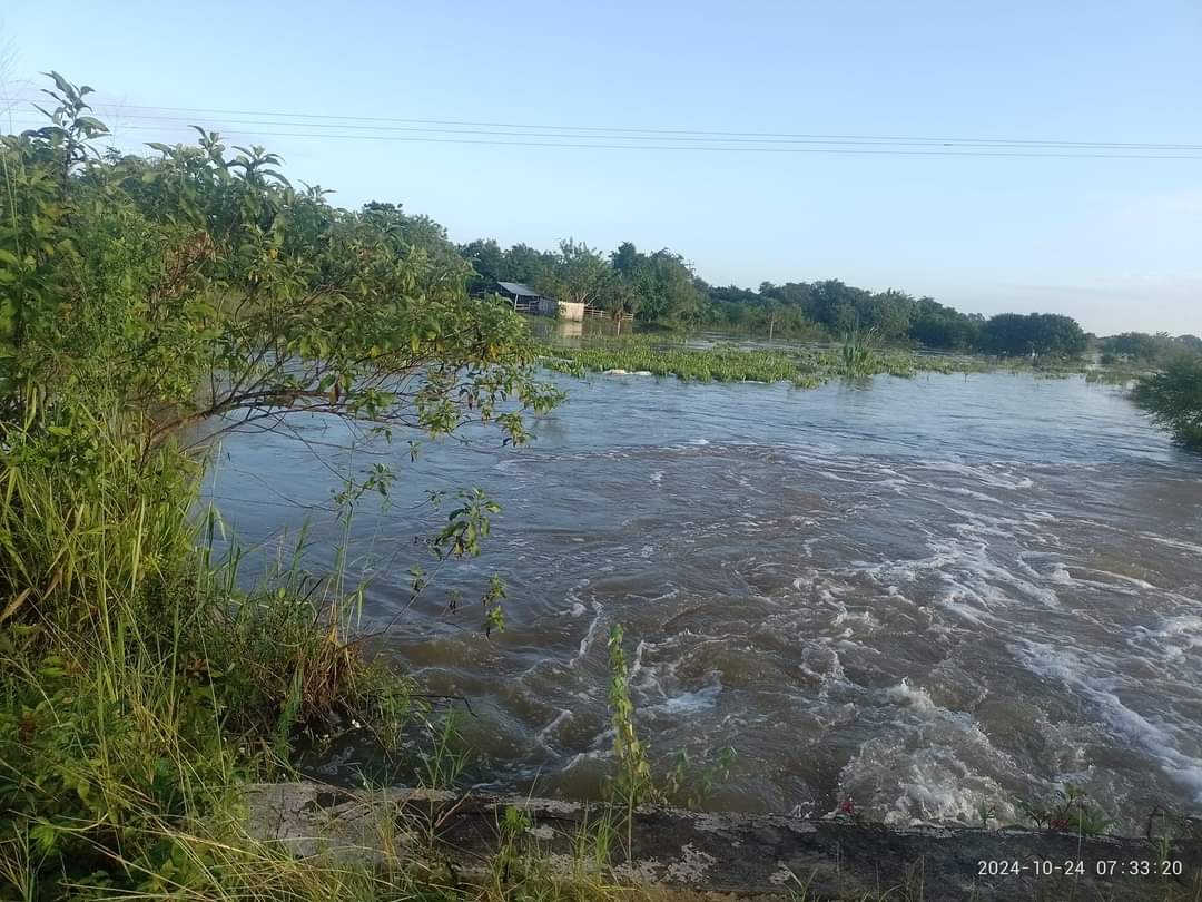Quintana Roo: Inundación deja afectadas varias comunidades Quintana Roo: Inundación deja afectadas varias comunidades