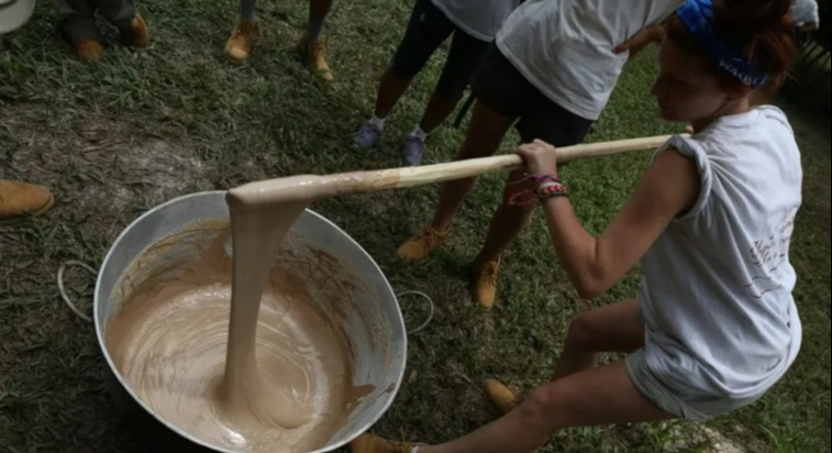 Durante la temporada chiclera, los chicleros experimentados pueden producir hasta 40 kg de chicle por semana Durante la temporada chiclera, los chicleros experimentados pueden producir hasta 40 kg de chicle por semana