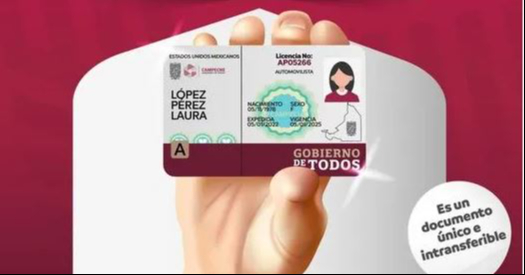 ¿Perdiste tu licencia de conducir en Campeche? Aquí te decimos cómo recuperarla