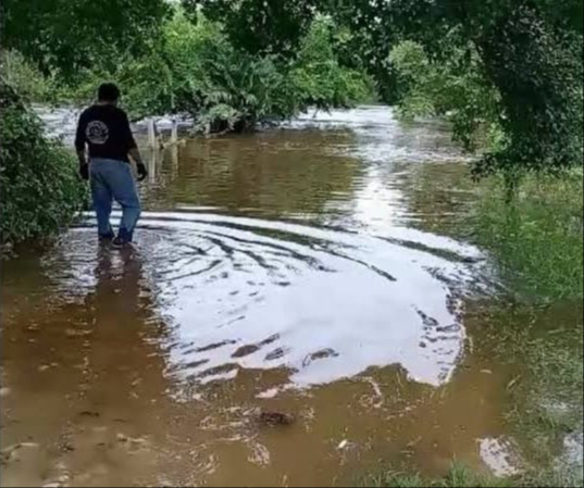 Las lluvias han incrementado considerablemente el nivel del agua. Las lluvias han incrementado considerablemente el nivel del agua.