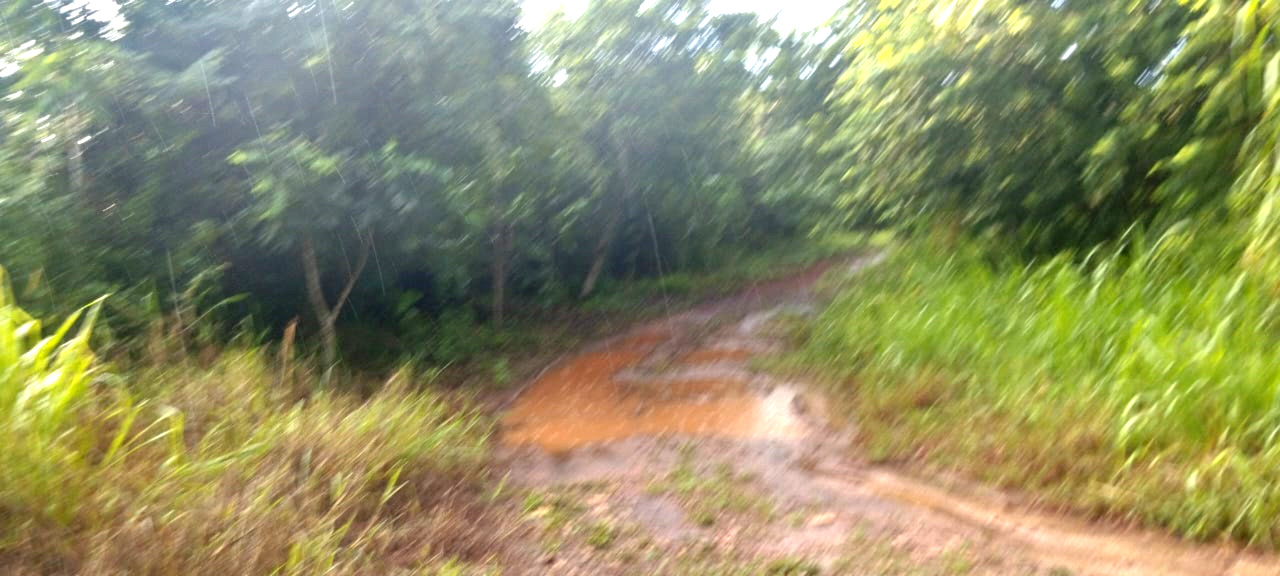 Las autoridades señalaron que tienen reportes de zonas y caminos sacacosechas inundados, por lo recorrerán unidades, a fin de corroborar los daños Las autoridades señalaron que tienen reportes de zonas y caminos sacacosechas inundados, por lo recorrerán unidades, a fin de corroborar los daños