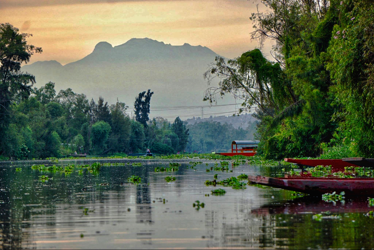 Los canales de Xochimilco Los canales de Xochimilco