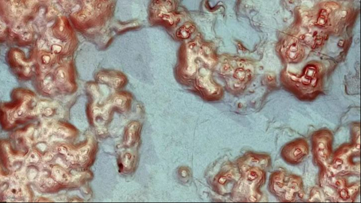 Se halló una enorme ciudad antigua maya Se halló una enorme ciudad antigua maya