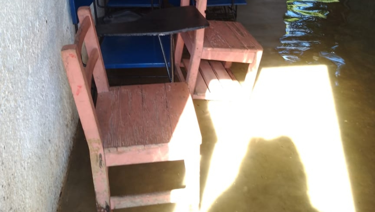 Los pupitres se encuentran entre el agua Los pupitres se encuentran entre el agua