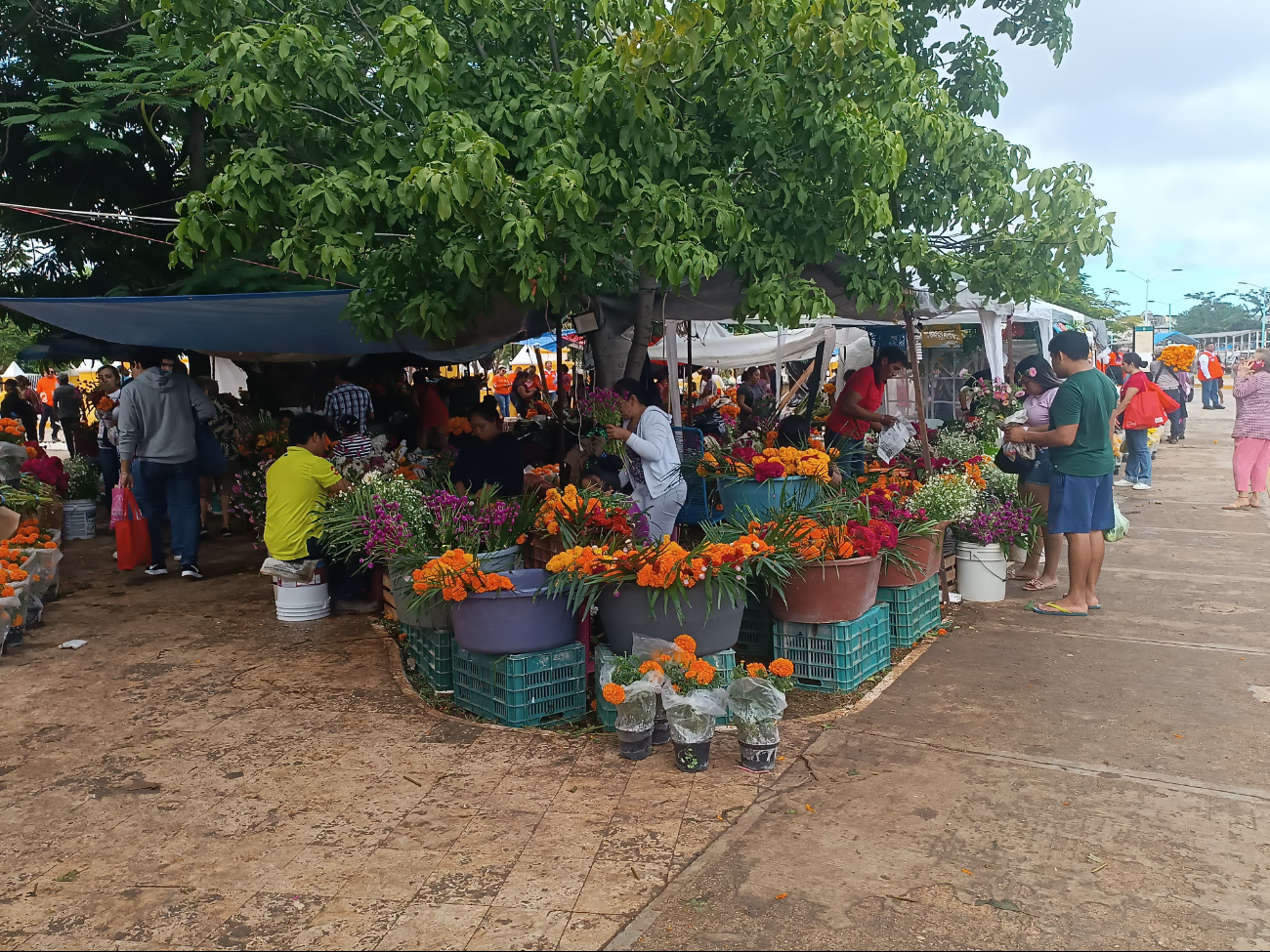 Desde muy temprano comerciantes se colocaron Desde muy temprano comerciantes se colocaron