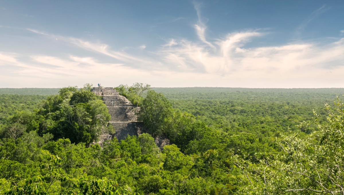 El descubrimiento fue realizado por el INAH y universidades estadounidenses (Calakmul) El descubrimiento fue realizado por el INAH y universidades estadounidenses (Calakmul)