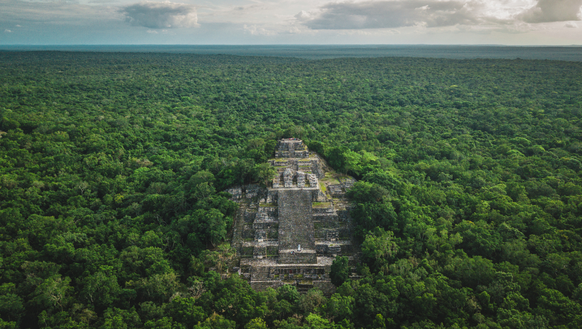 Foto de referencia (Calakmul) Foto de referencia (Calakmul)