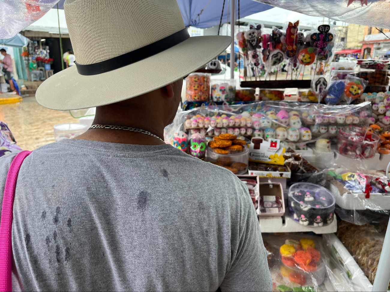 La lluvia fue uno de los principales factores por el que se registraron bajas ventas La lluvia fue uno de los principales factores por el que se registraron bajas ventas