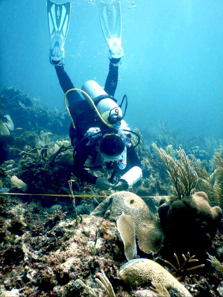 Solidaridad se posiciona como  el municipio del Norte de Quintana Roo con el mayor aporte de nutrientes contaminantes al mar