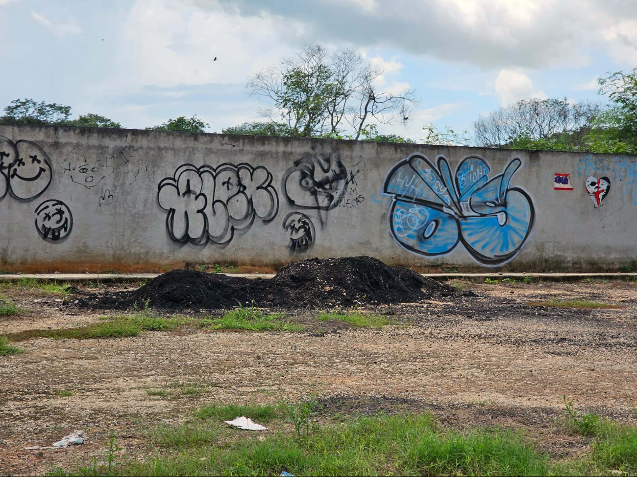  Piden reforzar vigilancia en panteón de Seyé, Yucatán