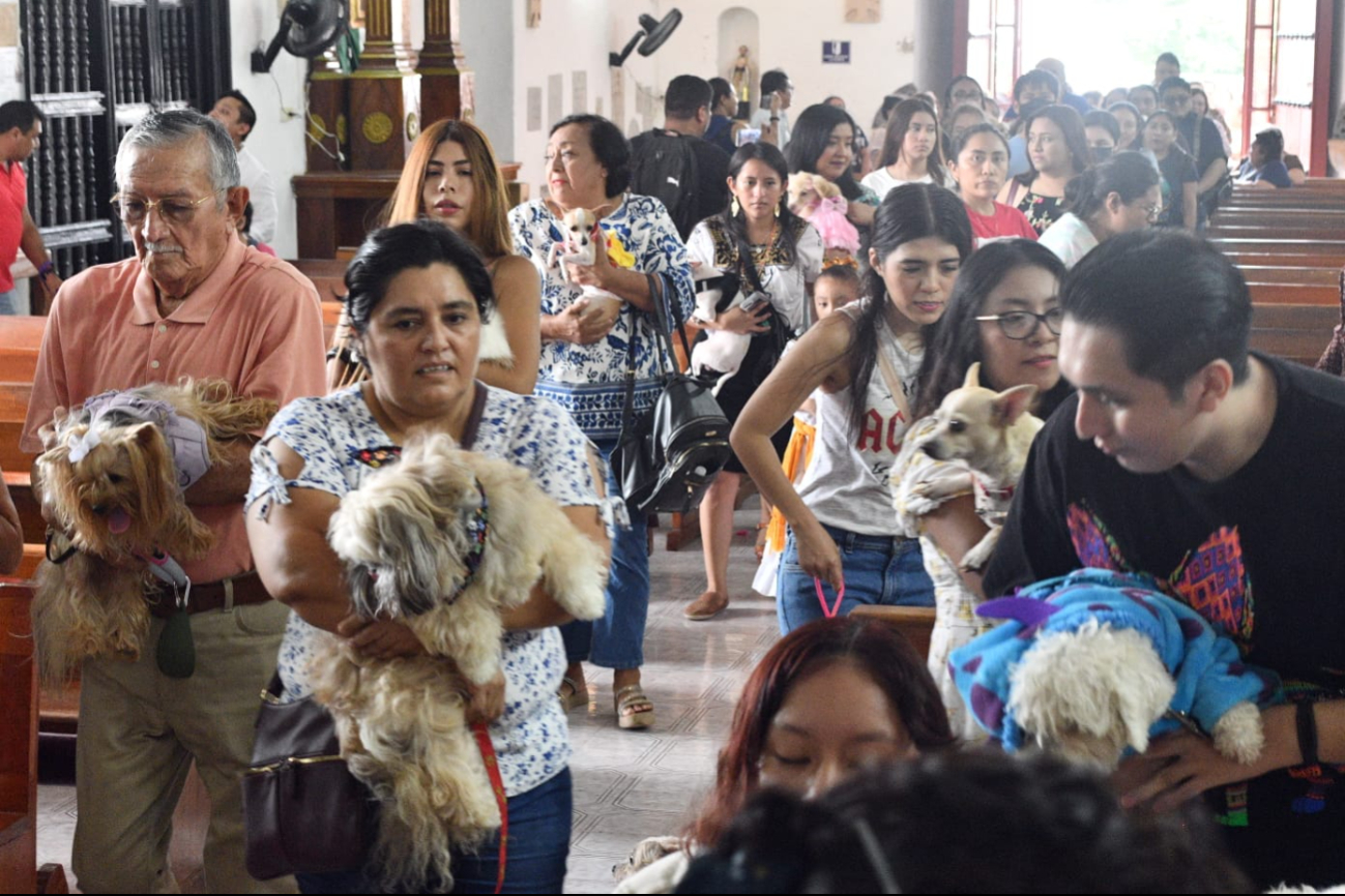 Alta participación en la Bendición de Mascotas 2024 en Campeche Alta participación en la Bendición de Mascotas 2024 en Campeche