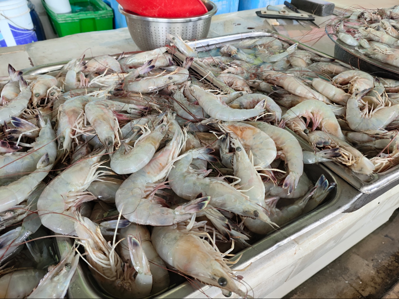 Carmen es un lugar donde visitantes y pobladores prefi eren comprar alimentos marinos Carmen es un lugar donde visitantes y pobladores prefi eren comprar alimentos marinos