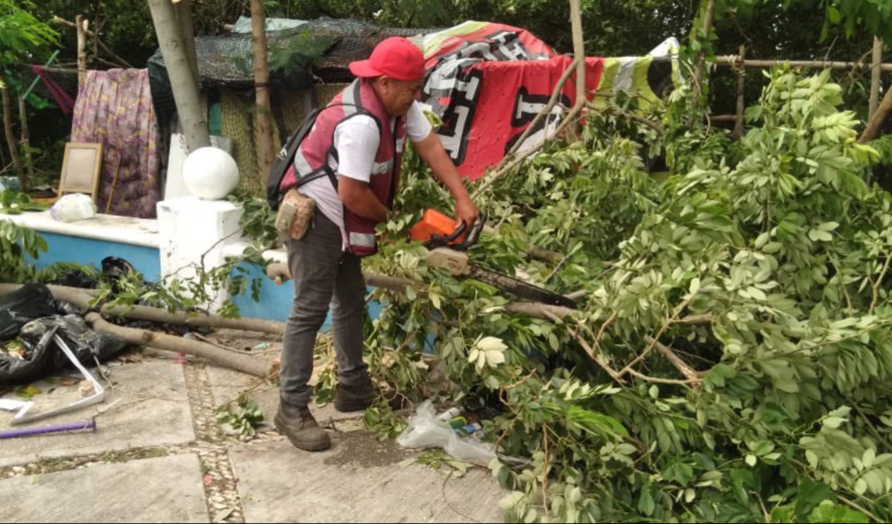 La Gobernadora, Layda Sansores, informa la suspensión de clases en Campeche por el huracán Milton. La Gobernadora, Layda Sansores, informa la suspensión de clases en Campeche por el huracán Milton.