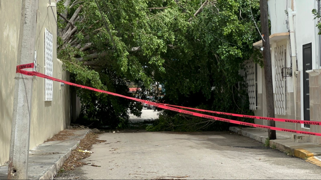 El lugar fue delimitado El lugar fue delimitado