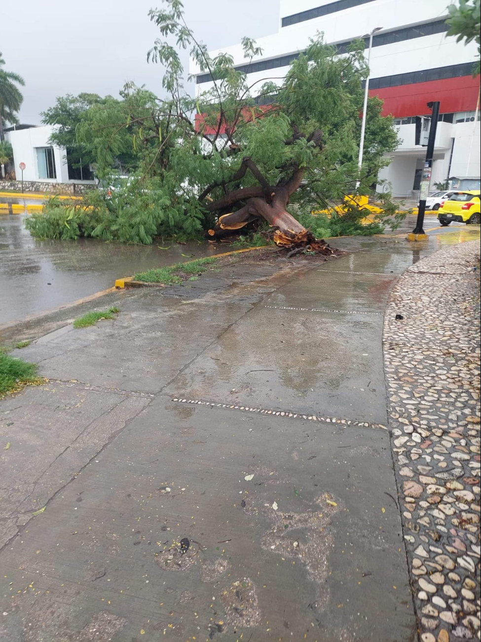 Huracán Milton: Esto pasa en Campeche