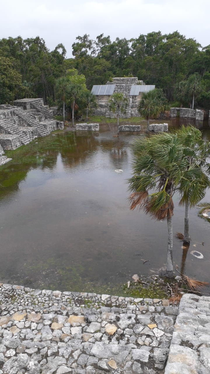 El sitio arqueológico está ubicado en una zona crítica entre la sabana y el manglar. El sitio arqueológico está ubicado en una zona crítica entre la sabana y el manglar.