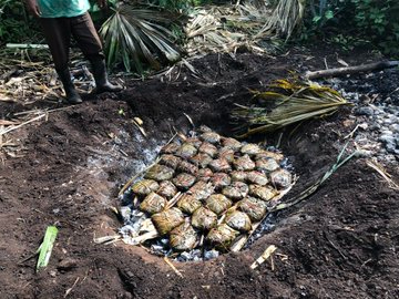 Cocinar el pibipollo en un horno de tierra le da un sabor ahumado y único, y es un proceso comunitario Cocinar el pibipollo en un horno de tierra le da un sabor ahumado y único, y es un proceso comunitario