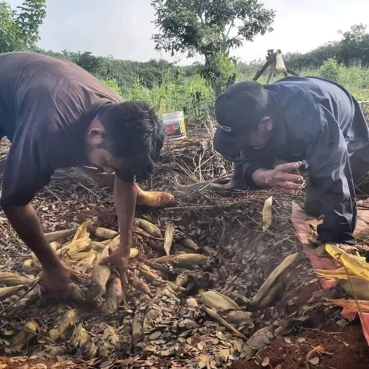 Se celebra en comunidades de Campeche como Hopelchén, Calkiní y Dzitbalché