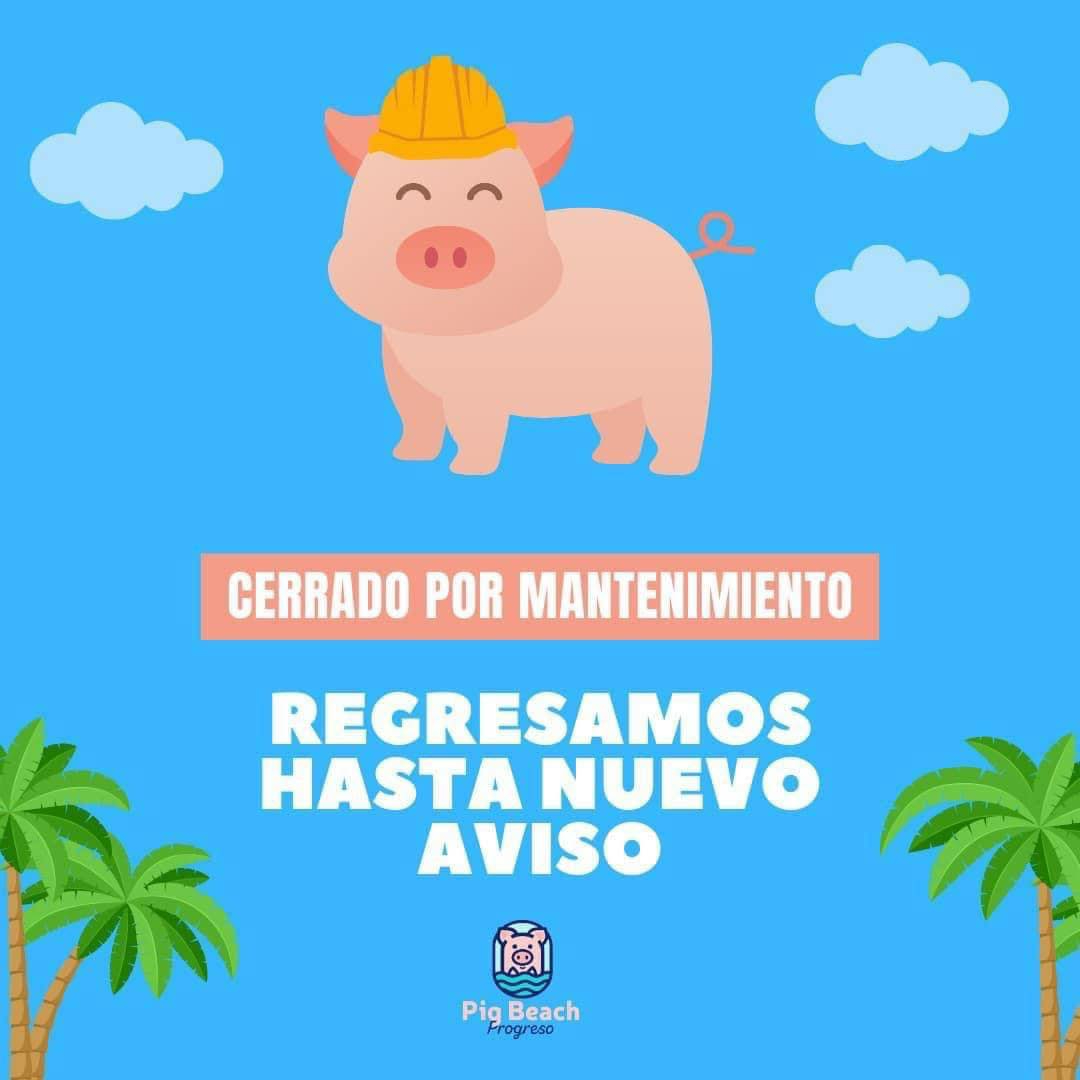 Se desconoce la fecha para la reapertura de Pig Beach Se desconoce la fecha para la reapertura de Pig Beach