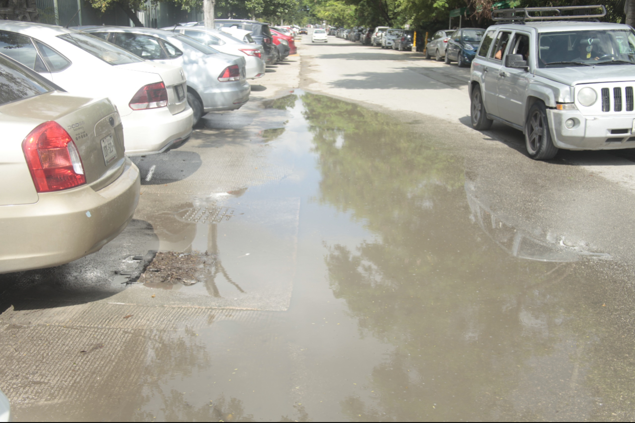 Las aguas negras causan mal olor y malestar para las personas con negocios en los alrededores Las aguas negras causan mal olor y malestar para las personas con negocios en los alrededores