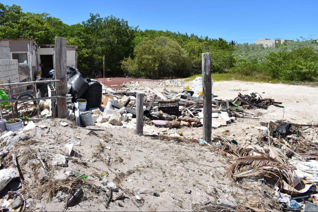 Vecinos piden la atención de las autoridades por la destrucción del manglar