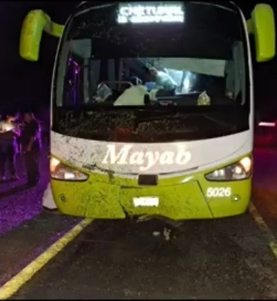 Chófer de autobús amenaza a pasajeros que se dirigían a Chetumal
