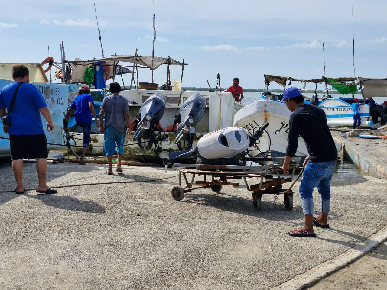 Analizan la extensión de la temporada de pulpo  en Yucatán