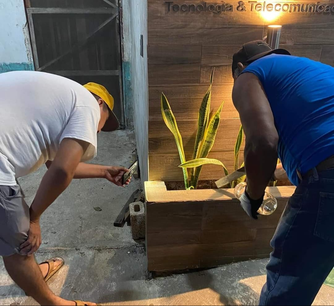 La araña fue capturada para ser liberada en otro espacio La araña fue capturada para ser liberada en otro espacio