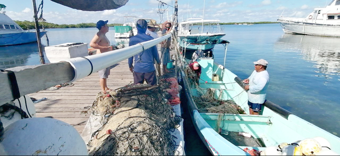   Precio de la langosta cae 25% en Isla Mujeres; economía de pescadores se ve afectada  