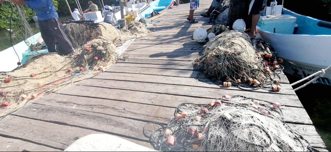 Los huracanes ha afectado con la pesca de mariscos Los huracanes ha afectado con la pesca de mariscos