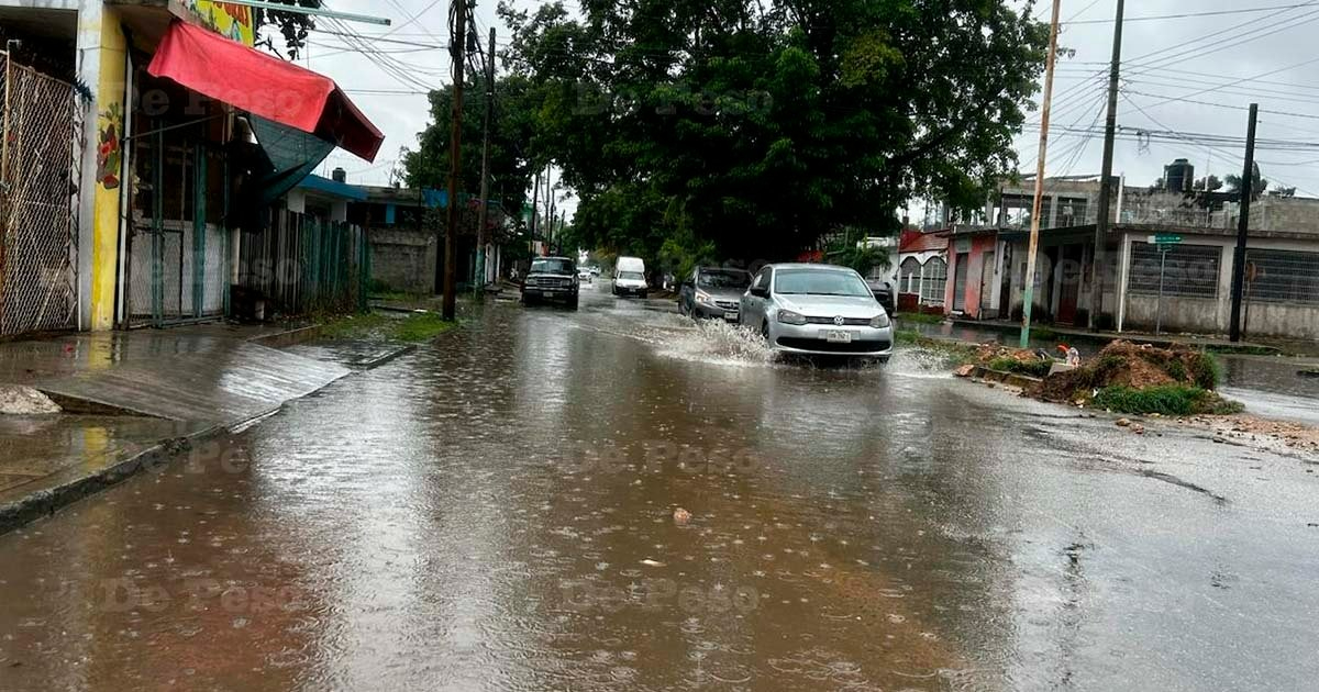 Hasta el momento no han habido grandes afectaciones en Chetumal tras alerta de Sara. Hasta el momento no han habido grandes afectaciones en Chetumal tras alerta de Sara.