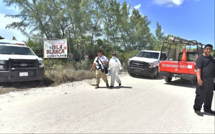 Localizan osamenta   cerca de  una carretera en Isla Mujeres
