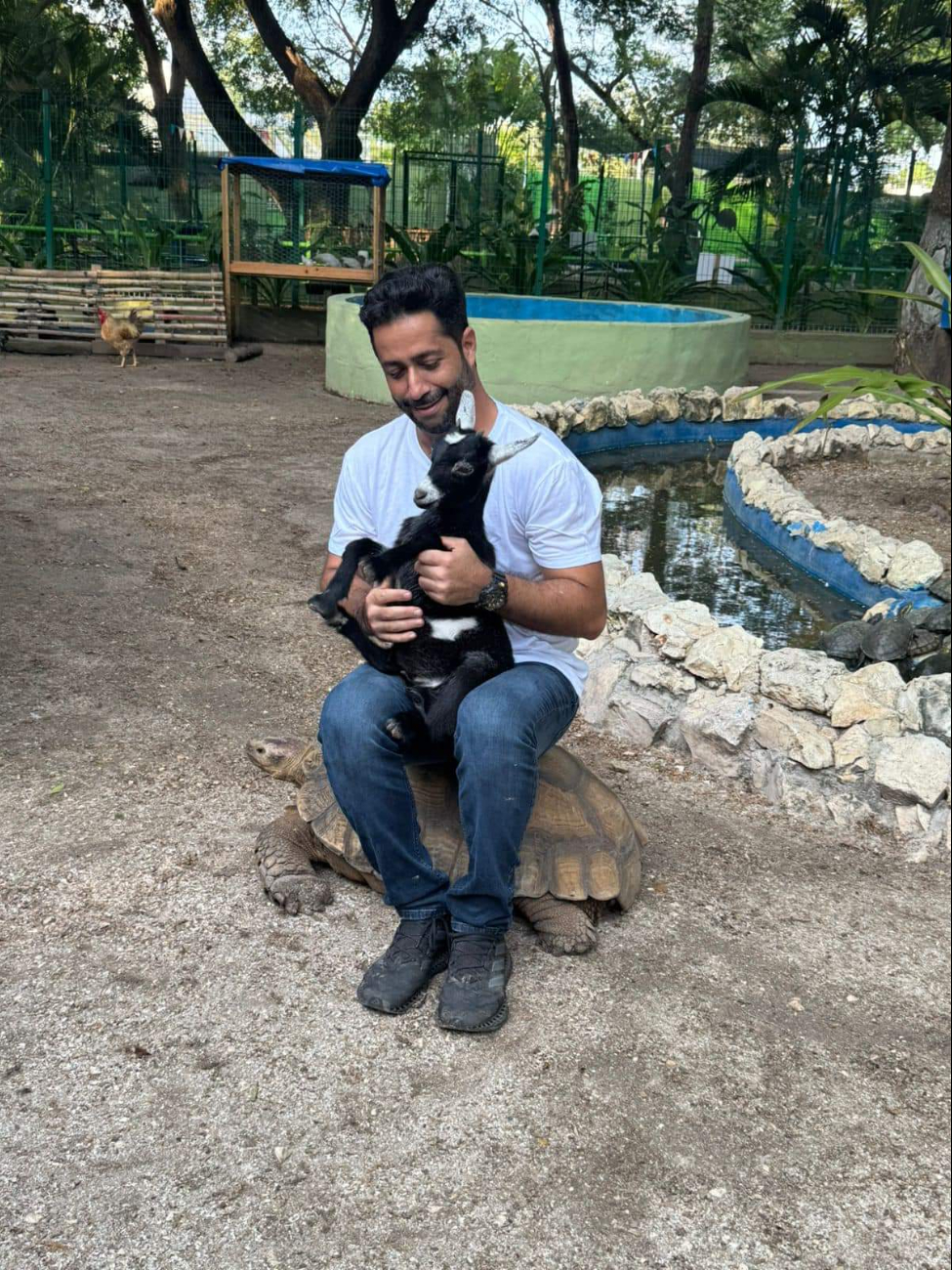 Las fotos muestran al alcalde cargando una cabra y sentado sobre una tortuga, promocionando el EcoParque Carmen Las fotos muestran al alcalde cargando una cabra y sentado sobre una tortuga, promocionando el EcoParque Carmen
