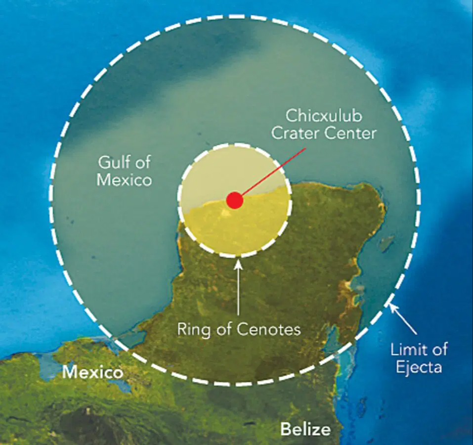 El evento de Chicxulub formó el suelo peninsular compuesto de piedra caliza, residuos minerales y coral El evento de Chicxulub formó el suelo peninsular compuesto de piedra caliza, residuos minerales y coral