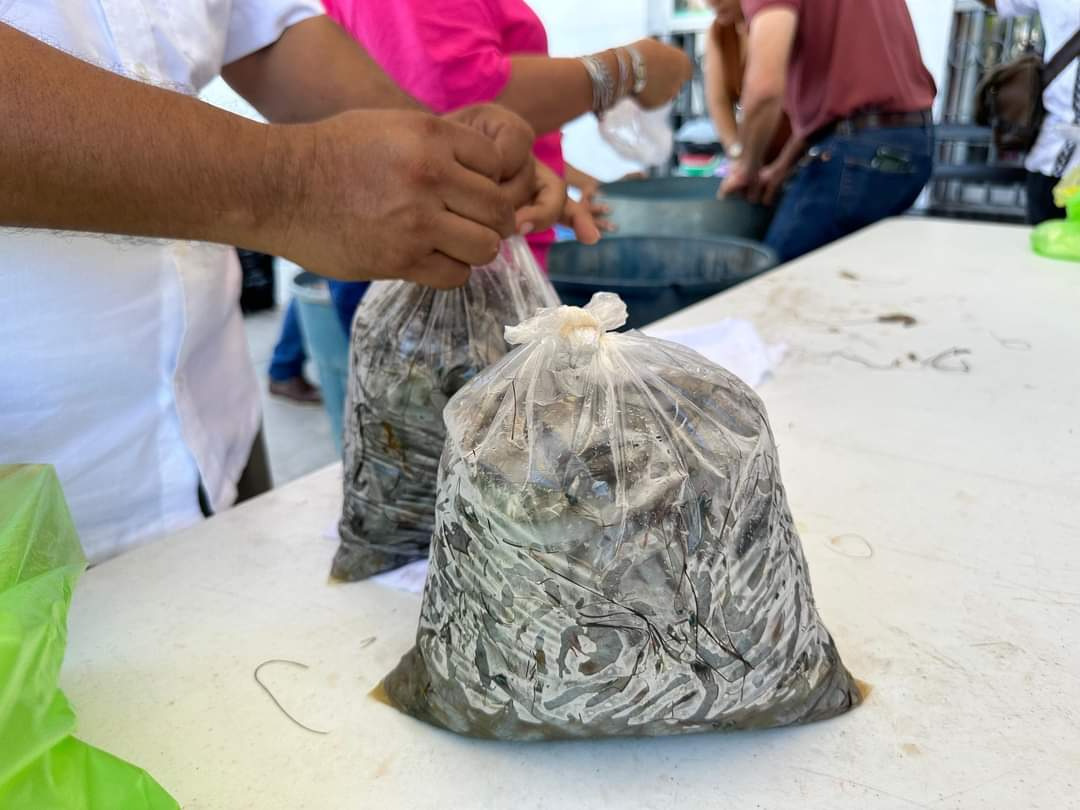 opción para valorizar productos pesqueros opción para valorizar productos pesqueros