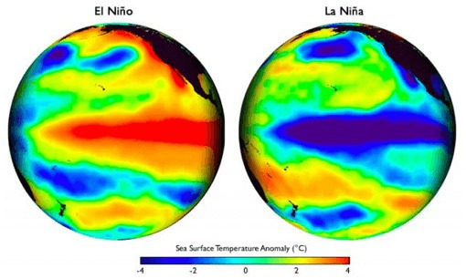 La imagen de NOAA muestra anomalías de temperatura marina: azul para aguas más frías y rojo para más cálidas. La imagen de NOAA muestra anomalías de temperatura marina: azul para aguas más frías y rojo para más cálidas.