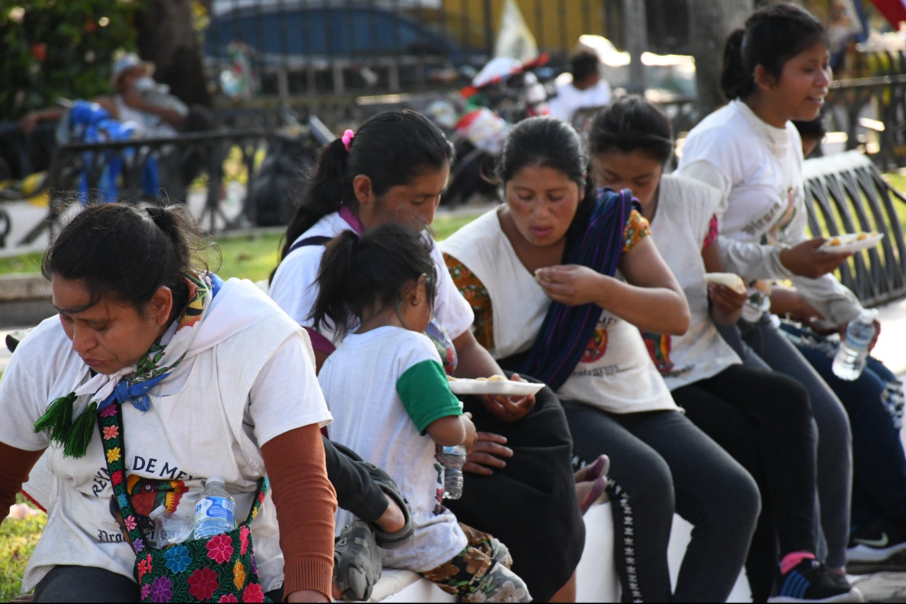 Este 2024, se cumplen 15 años de servicio a los peregrinos en Campeche por las fiestas patronales en honor a la Virgen de Guadalupe Este 2024, se cumplen 15 años de servicio a los peregrinos en Campeche por las fiestas patronales en honor a la Virgen de Guadalupe