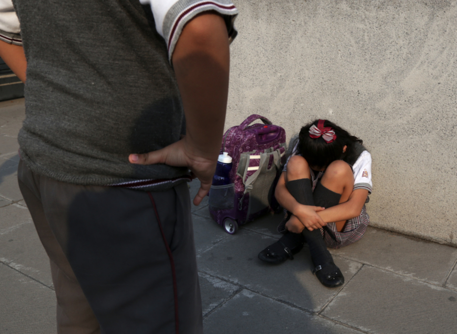 Especialistas en la salud en Ciudad del Carmen llaman a  colaborar y ponerle fin al bullying