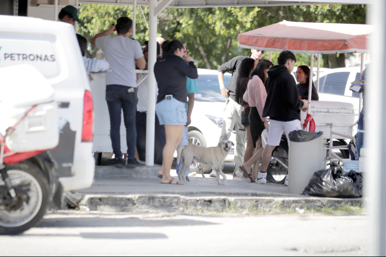   Sube 15% atención médica a personas por ataques caninos en Quintana Roo  