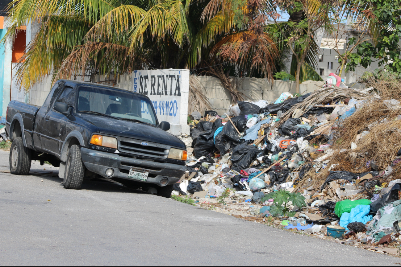 Debido al incontinuo servicio de los camiones de basura, se ha generado un problema de plagas Debido al incontinuo servicio de los camiones de basura, se ha generado un problema de plagas
