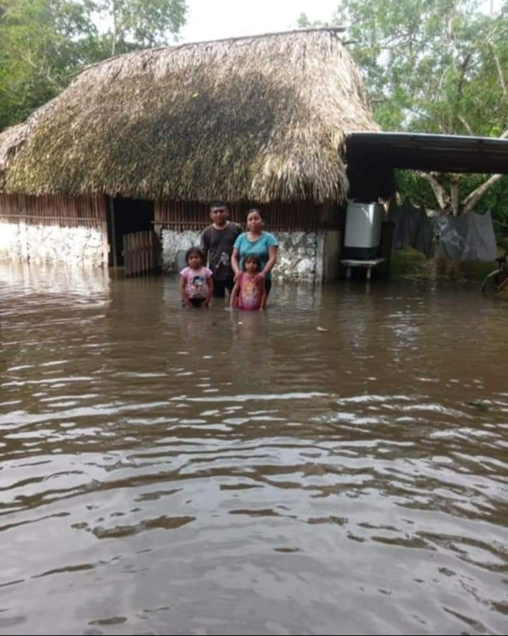 Tras "Sara" múltiples habitantes de la región de Othón P. Blanco han sido afectados. Tras "Sara" múltiples habitantes de la región de Othón P. Blanco han sido afectados.